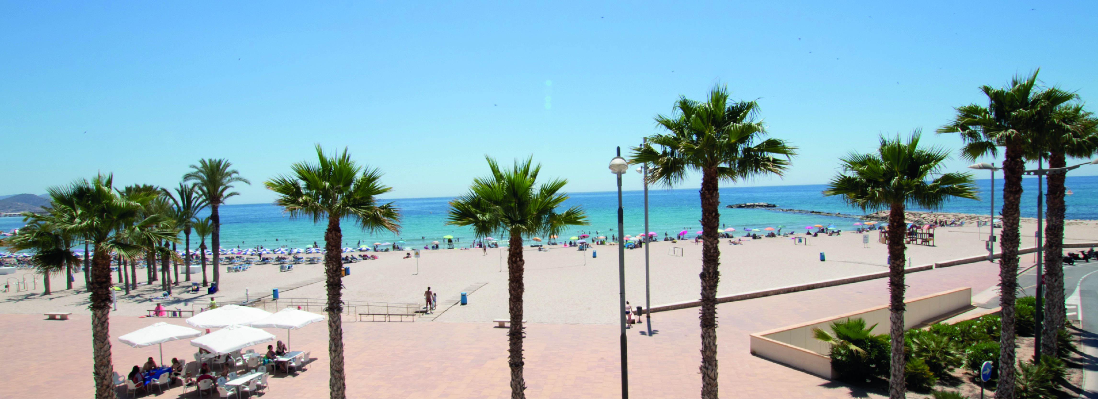 Bildeutsnitt%20web19